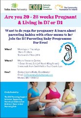 Flyer for Clients  D7 Parenting Baby Programme